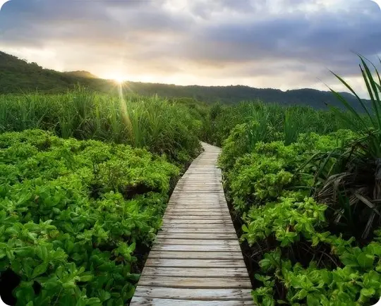 Cheap International Calls to Christmas Island | Slick