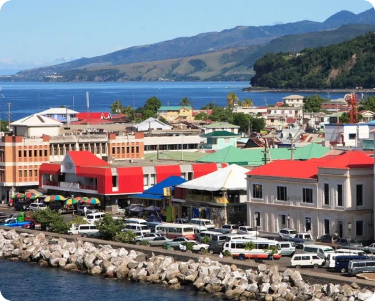 International eSIM for Dominica