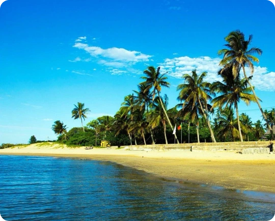 Travel eSIM Mozambique | Stay Connected